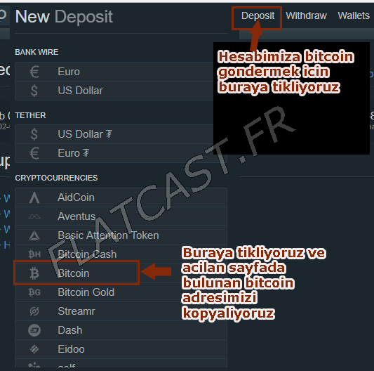 bitfinex bitcoin satinalma