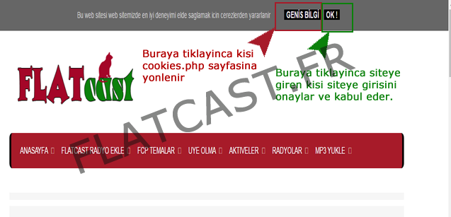 adsense cookies kodu