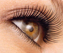 Maquillage-mascara