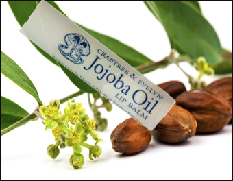 baume-pour-les-lèvres-a-lhuile-de-Jojoba-homme