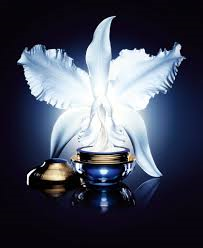 orchidee-imperiale-masque