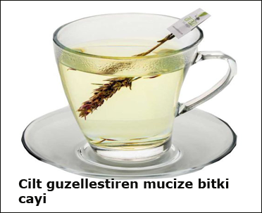 cilt-guzellestiren-mucize-bitki-cayi flatcast tema