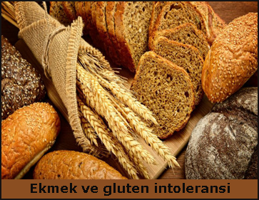 ekmek-ve-gluten-intoleransi flatcast tema