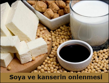 soya-ve-kanserin-onlenmesi flatcast tema