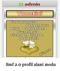 smf-2.0-profil-alani-modu flatcast tema