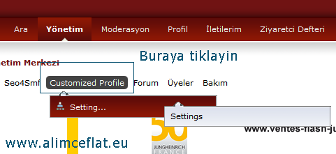 Smf 2.0 profil alani modu ayari 1