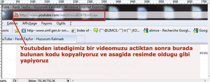 Smf forum konularda  youtube video ekleme